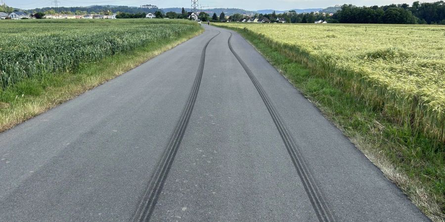 Auto gerät in Rapsfeld