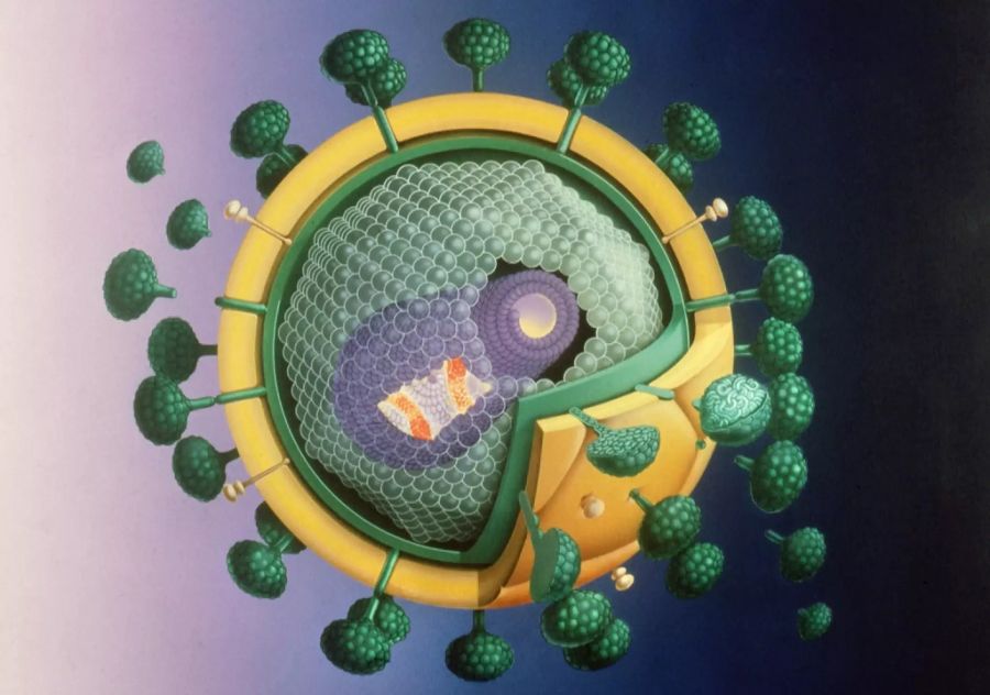 Coronavirus Medikamente