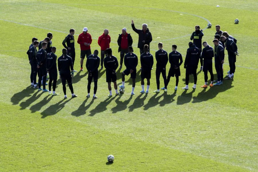 Zuletzt sichert sich Vladimir Petkovic mit seiner Mannschaft das Ticket für die EM 2021.