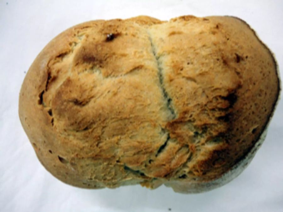 Anitas Burebrotstube