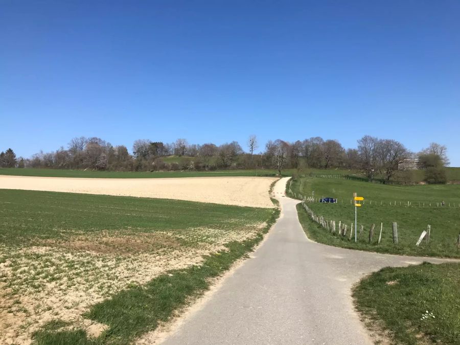 Eine der Zugangsstrassen auf den Aussichtspunkt auf dem Mont Vully wurde hier mit einem Balken abgesperrt.