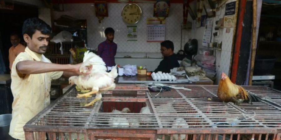 Hühnerverkauf in Indien