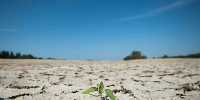 Eine Weltkarte der WMO zeigt die Gebiete, in denen eine Wasserkrise herrscht. Wasserkrise