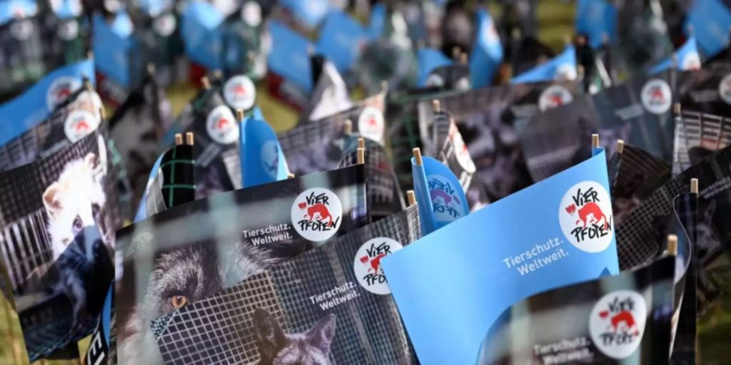 Aktion gegen Echtpelz von Vier Pfoten und Zürcher Tierschutz Aktion gegen Echtpelz von Vier Pfoten und Zürcher Tierschutz