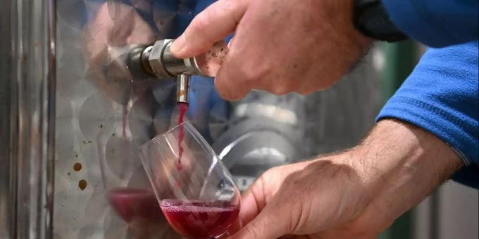 Weinexport gesunken Weinexport gesunken