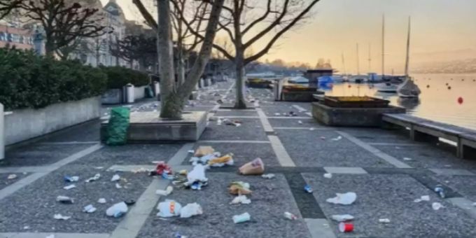 Abfälle in Zürich - Tierschützer sorgen sich um plastikfressende Enten
