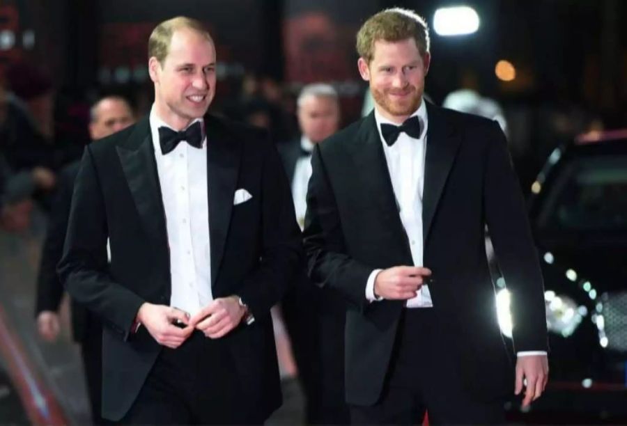 Prinz Harry und William