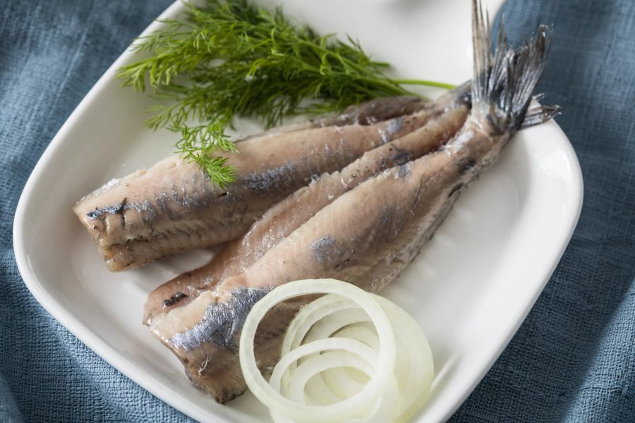 Fisch Fett Omega-3 Zellen