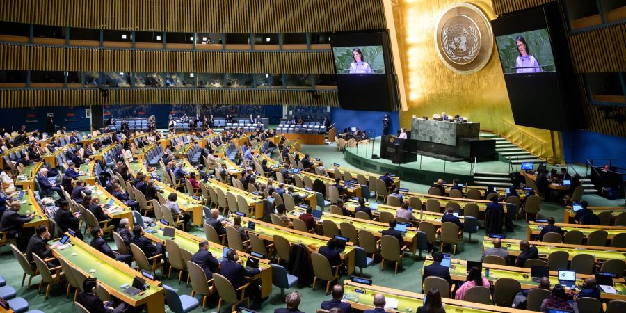 UN-Vollversammlung