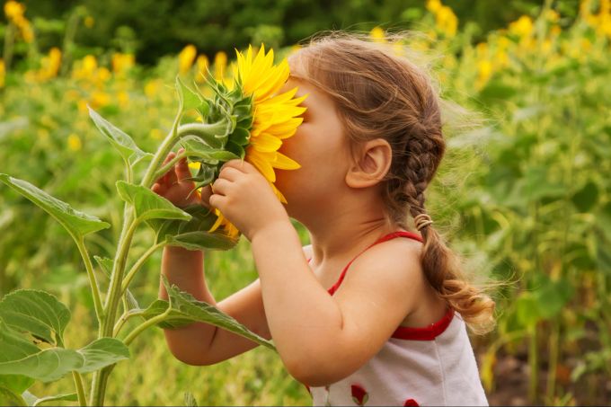 Kinder, die sich in der Natur aufhalten, entwickeln sich besser. Kinder