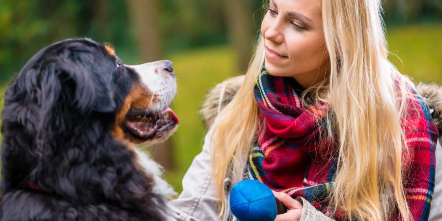 Frau trainiert mit Hund