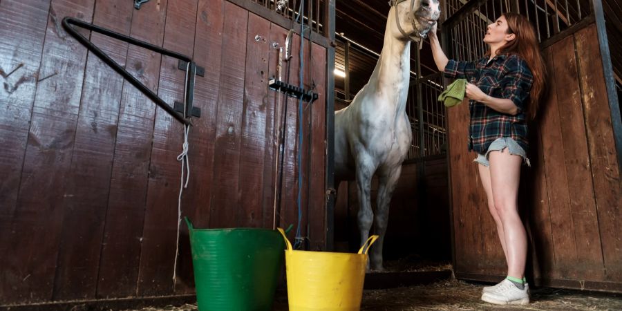 Junge Frau mit Pferd im Stall