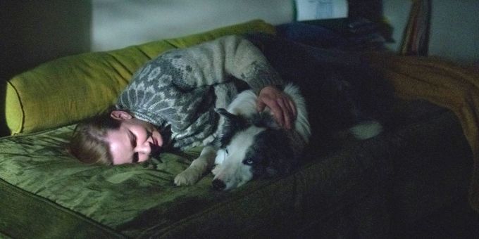 Los Angeles - Hund Messi aus «Anatomie eines Falls» bei den Oscars