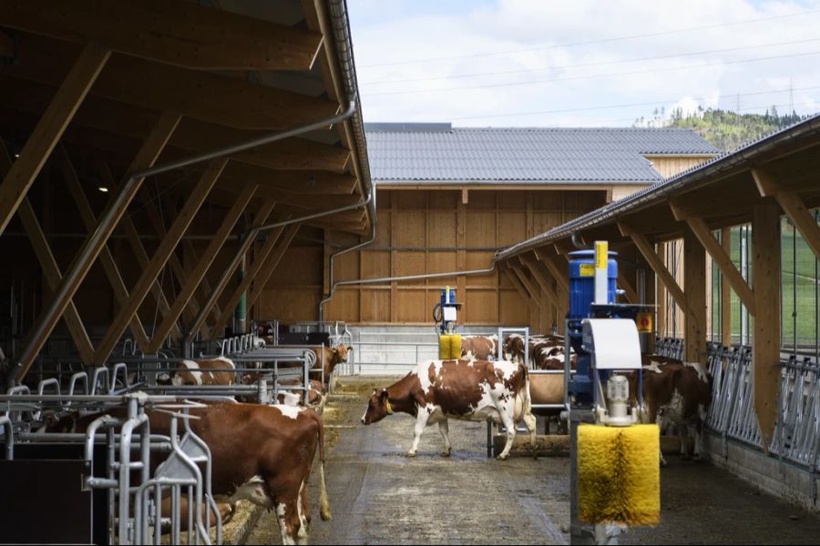 Dieser Stall ist so gebaut, dass Tiere mehr frische Luft bekommen können.