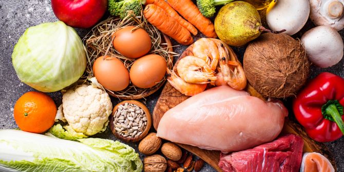 Paleo-Nahrung, Gemüse, Eier, Fisch, Fleisch