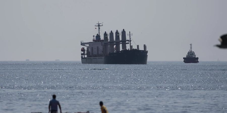 ARCHIV - Das mit Getreide beladene Frachtschiff «Lady Zehma» ankert im Marmarameer. Foto: Khalil Hamra/AP/dpa