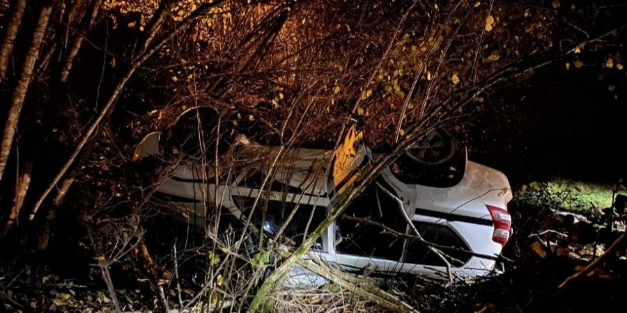 Auto kommt in La Roche von der Strasse ab