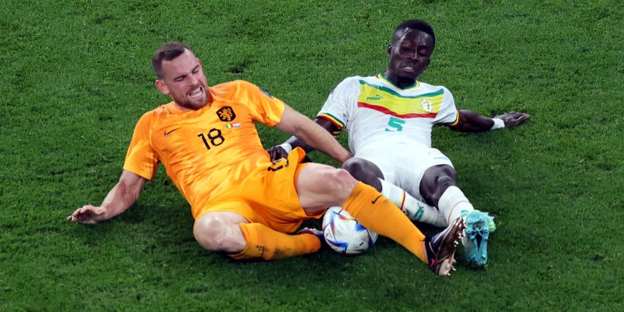 WM 2022 Senegal Niederlande