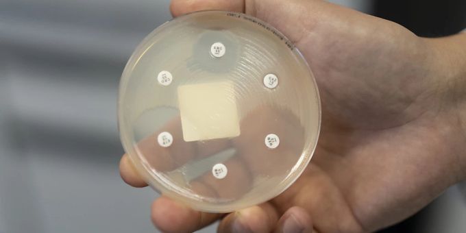 Wirksamkeitstest für Antibiotika: Von den sechs Mitteln auf dem Bakterienabstrich die beiden zweitobersten Resistenzen an. (Archivbild) Wirksamkeitstest für Antibiotika