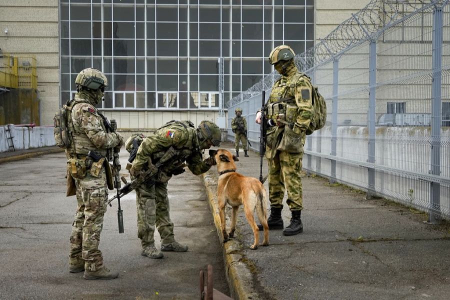 Russische Soldaten in Cherson im Ukraine-Krieg mit einem Militärhund.