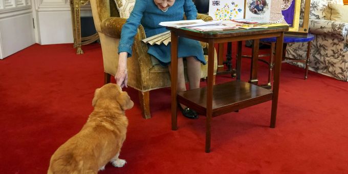 Königin Elizabeth II. streichelt einen ihrer Hunde, einem Corgi namens Candy, in Schloss Windsor.