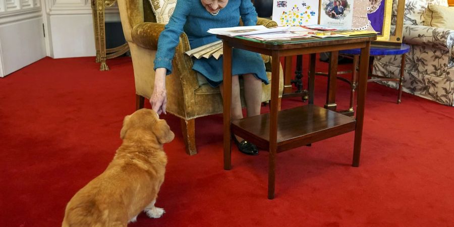 Königin Elizabeth II. streichelt einen ihrer Hunde, einem Corgi namens Candy, in Schloss Windsor.