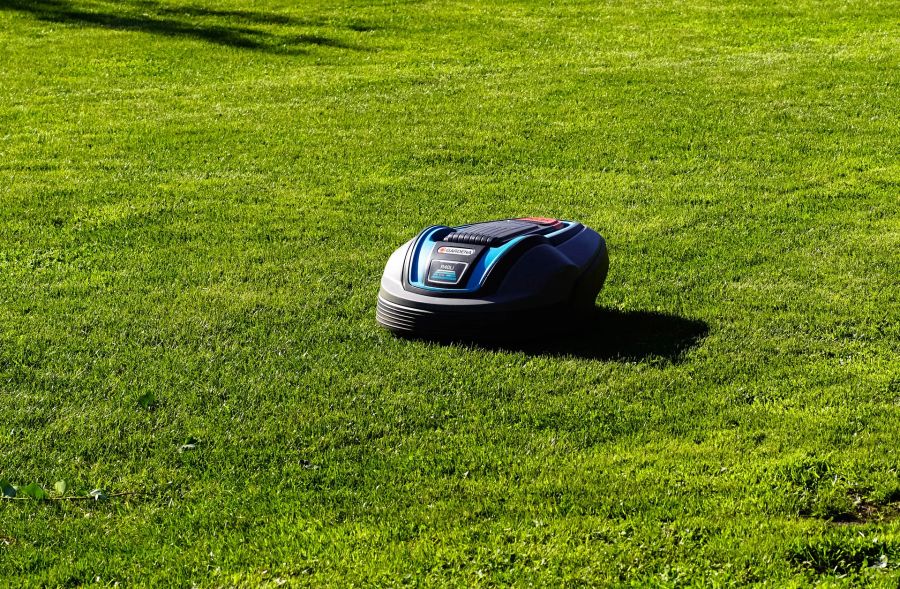 Mähroboter Rasen Sonne Sommer