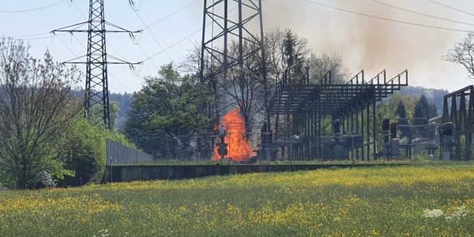 Brandursache der Baumstämme nach wie vor unklar.