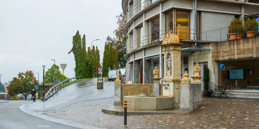 Der Dorfbrunnen auf der Seetalstrasse in Muri (AG).