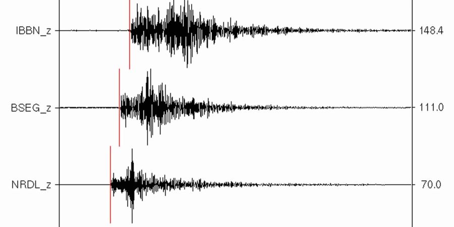 Ausschläge auf einem Seismographen: In Ecuador bebte die Erde. (Symbolbild)