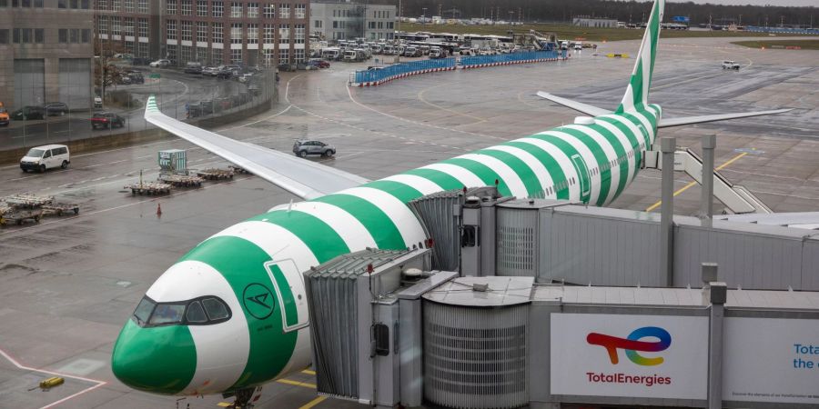 Die Condor A330 Neo mit ihrer charakterlichen Streifen-Optik und besonderen Farbgebung steht auf dem Frankfurter Flughafen.