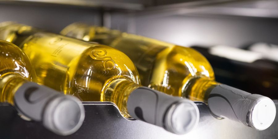 Wein weiss Flaschen Kühlschrank