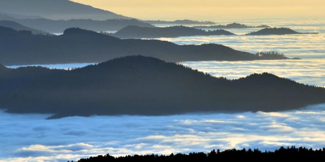 Wald Wolken Nebel Berge Tal