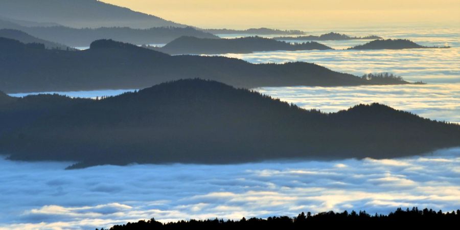 Wald Wolken Nebel Berge Tal