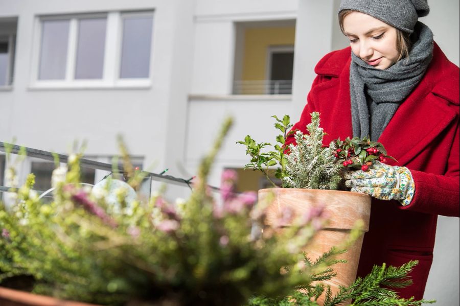 Balkon Immergrün Frau Winter