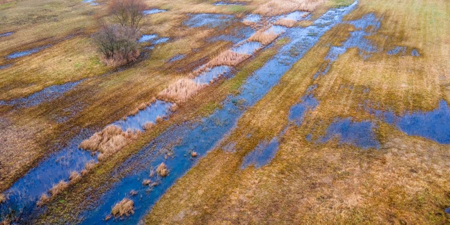 Das rund 36 Hektar grosse wiedervernässte Hangquellmoor Binsenberg. Trockengelegte Moore stossen Treibhausgas aus. Ihre Wiedervernässung gilt als wichtige Klimaschutz-Massnahme.