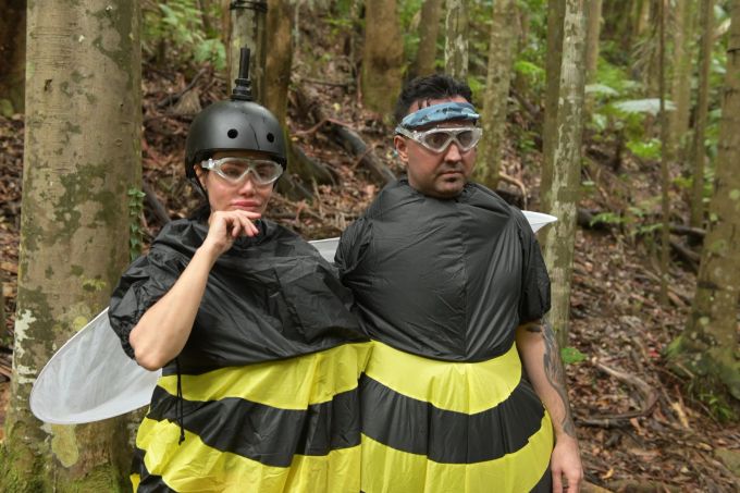 Dschungelcamp: Schatzsuche im Bienenkostüm. Dschungelcamp