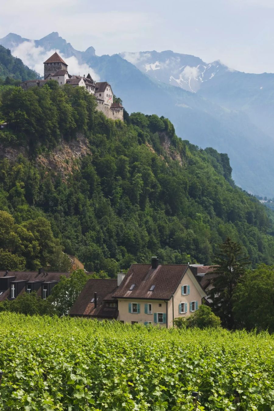 Blick auf das Schloss Vaduz