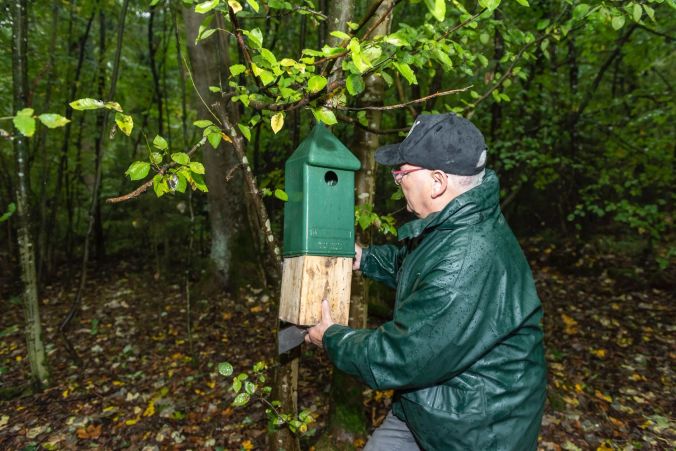 Manche Nistplätze befinden sich in Bodennähe. Sie sind einfacher zugänglich.