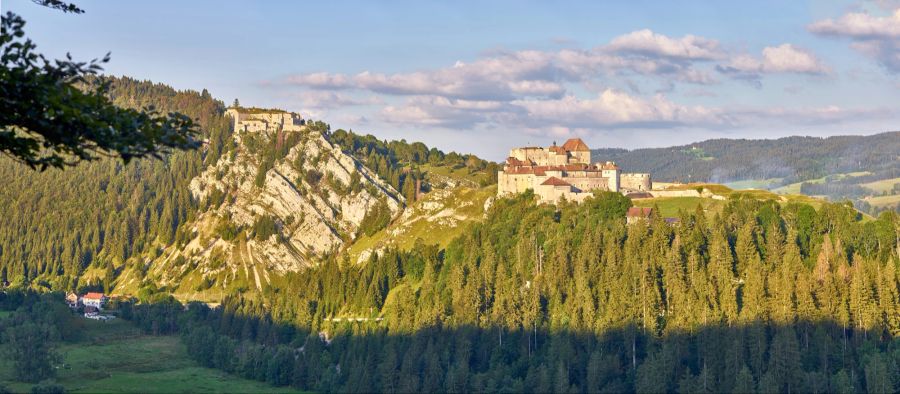 Wald Berge Schloss Panorama