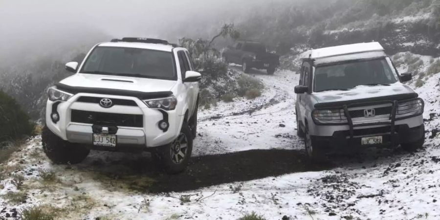 Schnee im Polipoli-Naturpark auf der Insel Maui. Foto: Lance Endo/Lance Endo via AP