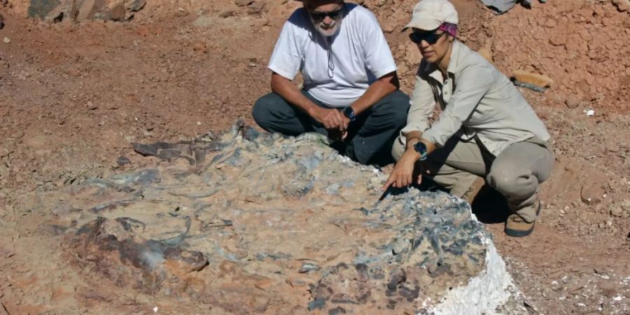 Argentinische Forscher am Fundort der Fossilien