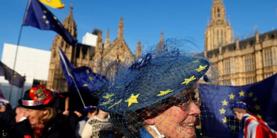 Brexit-Gegner demonstrieren vor dem Parlament in London