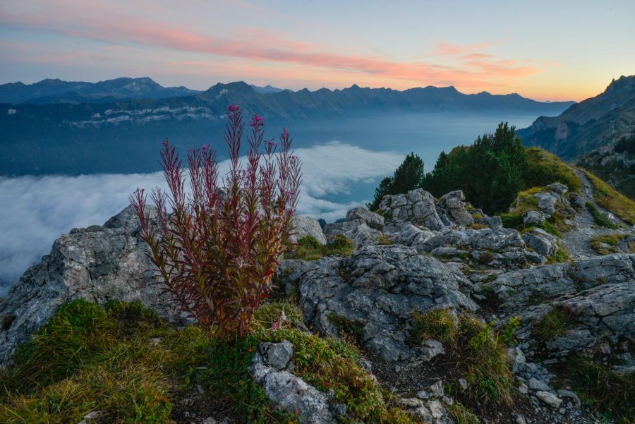 Faulhorn Wanderung Sonnenuntergang