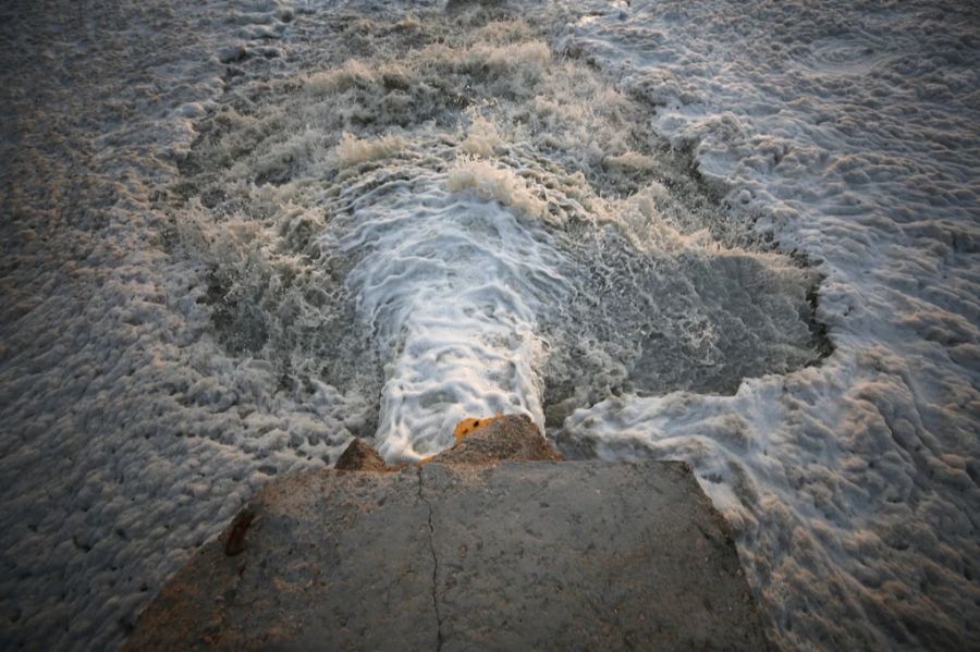 Denn: So gelangt öfter Abwasser ins Meer – und Quallen, Algen und Bakterien fühlen sich wohler. (Archivbild)