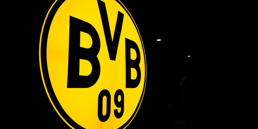 bvb borussia dortmund