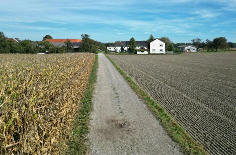 Auf diesem Weg hat sich die blutige Hunde-Attacke ereignet.