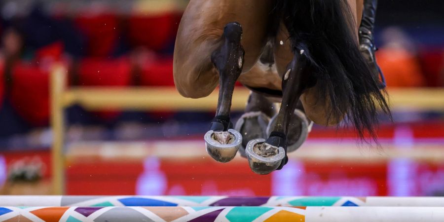 Springreiten Olympia 2024