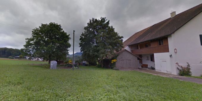 Auf dieser Wiese soll künftig der neue Kinder-Spielplatz stehen. (Archivbild) Wiese Kilchberg