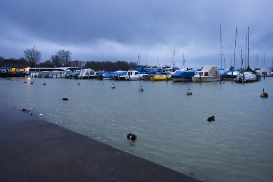 Die Lage am Bielersee war schon am Dienstag kritisch - aber noch knapp unter der Hochwassergrenze.